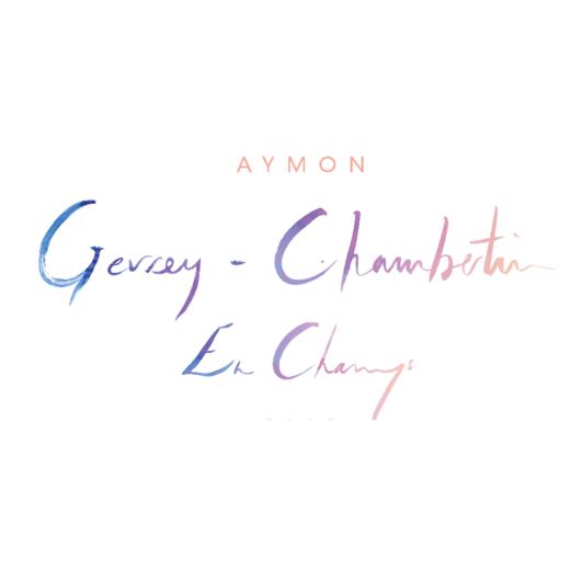 Aymon Pommard Les Levrieres安梦庄园玻玛村级干红葡萄酒2023会员价1060 商品图0