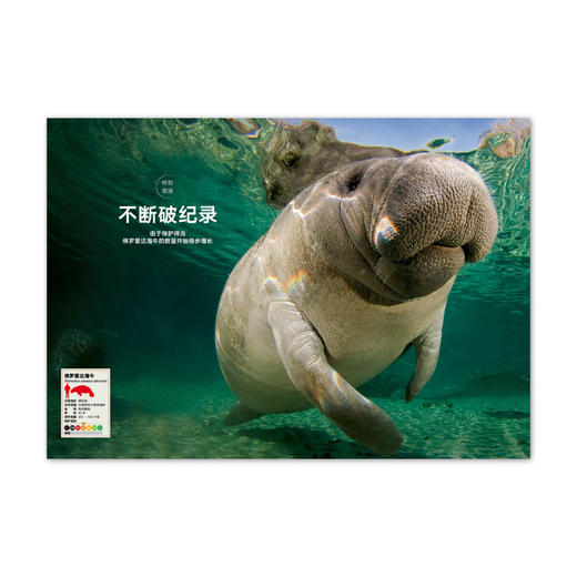 动物志06《比人更聪明》 探秘超乎想象的动物智慧 读库 商品图1