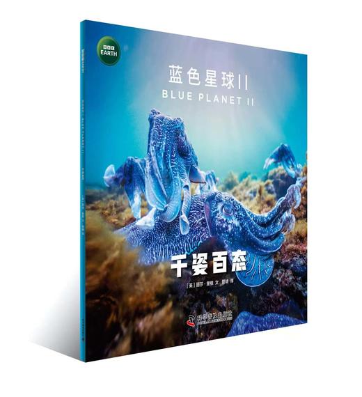蓝色星球（第二季全8册）：探索海洋生物的生命奥秘 根据BBC同名纪录片全新改编 附赠原纪录片片段 商品图5