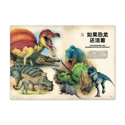 动物志06《比人更聪明》 探秘超乎想象的动物智慧 读库 商品图4