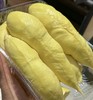 【整果销售】泰国金枕榴莲 500g（超重部分补差价） 商品缩略图1