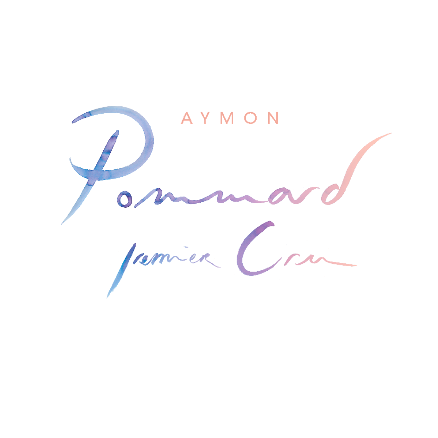 Aymon Pommard 1er Cru安梦庄园玻玛一级园干红葡萄酒2023会员价1680