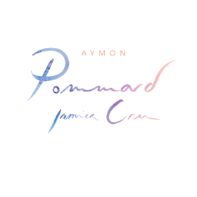 Aymon Pommard 1er Cru安梦庄园玻玛一级园干红葡萄酒2023会员价1680