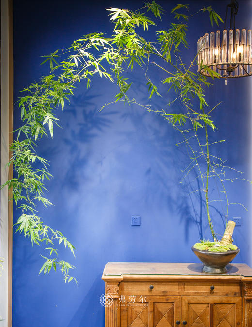 高脚黑盆造型勒竹 商品图0