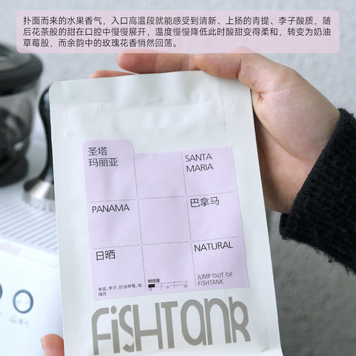 巴拿马 圣塔玛丽亚庄园 瑰夏日晒 商品图2