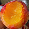【脆甜可口】珠宝李500g/份 商品缩略图2