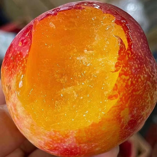 【脆甜可口】珠宝李500g/份 商品图2