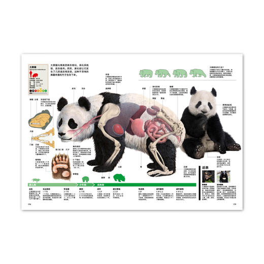 动物志06《比人更聪明》 探秘超乎想象的动物智慧 读库 商品图2