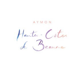 Aymon Hautes Cotes De Beaune安梦庄园上伯恩丘干红葡萄酒2023会员价639