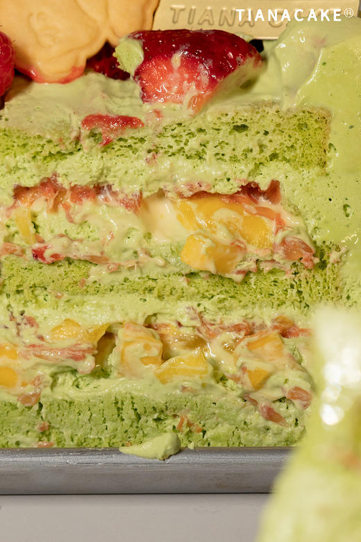 四寸茶茶与柚 商品图2