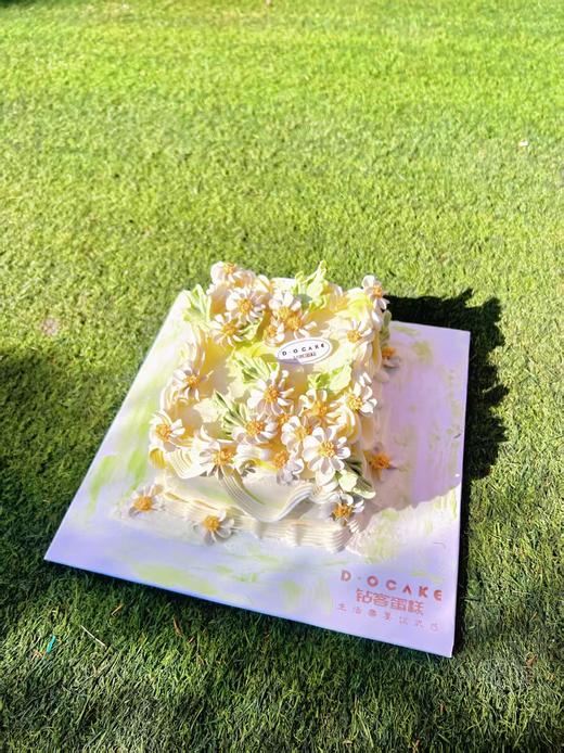 新品“快乐小雏菊”提前8小时预定 商品图3