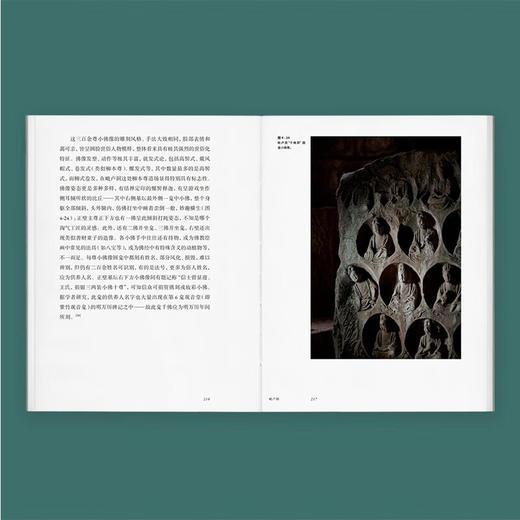 石窟史诗系列 《安岳》 驻足岁月更迭中的石窟一刻，追寻千磨万击下的灵光流动 读库 王南 袁进钊 商品图2