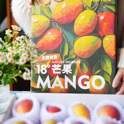 海南树熟18°「小贵妃芒」整件 约2~2.1kg 商品图6
