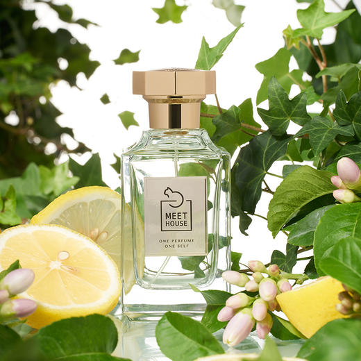 常春藤之水100ml 商品图0