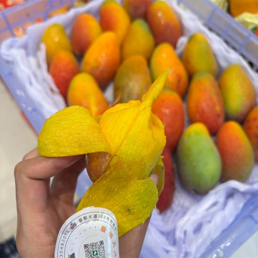 海南树熟贵妃芒 芒果 商品图1