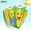 蒙牛玉米棒口味香甜雪糕冰棒冰淇淋 65g/袋  冷饮 商品缩略图0