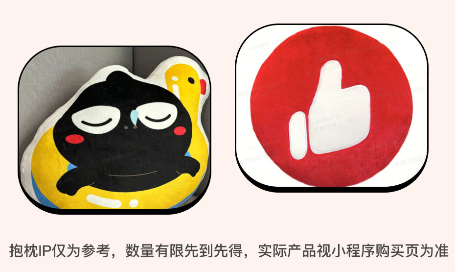 权益四 有赞IP抱枕