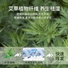爆款【A类提花艾草冰丝凉席】夏季床垫席子 可机洗夏季草席床单床笠款中老年学生 商品缩略图1