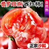 【甄选】山东海阳普罗旺斯西红柿当季鲜品酸甜软糯正宗沙瓤4.5-5斤礼盒装 商品缩略图0
