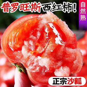【甄选】山东海阳普罗旺斯西红柿当季鲜品酸甜软糯正宗沙瓤4.5-5斤礼盒装
