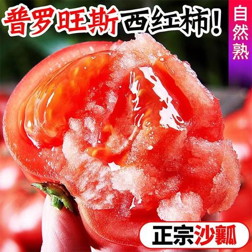 【甄选】山东海阳普罗旺斯西红柿当季鲜品酸甜软糯正宗沙瓤4.5-5斤礼盒装 商品图0