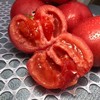 【甄选】山东海阳普罗旺斯西红柿当季鲜品酸甜软糯正宗沙瓤4.5-5斤礼盒装 商品缩略图2