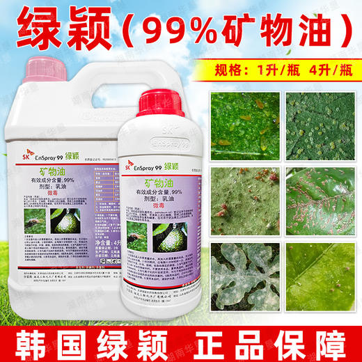 韩国杀虫剂SK绿颖矿物油99%进口高含量果树红蜘蛛介壳杀虫剂农药 商品图2