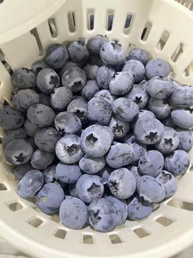 新鲜水果 云南蓝莓25+  250g盒装