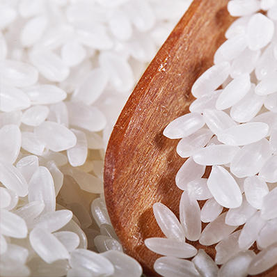 天缘道绿色雪地长粒香方正大米 商品图0