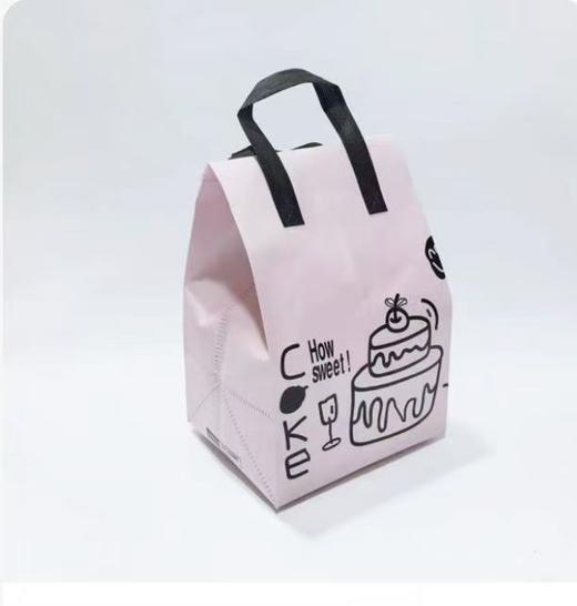 一次性蛋糕保温袋 内附冰包2只 可保温1-2小时（蛋糕需提前6小时下单，不接急单） 商品图1