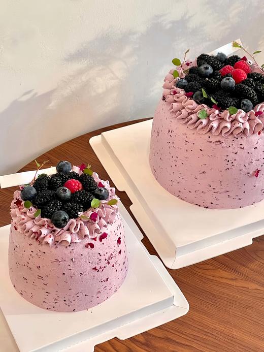 桑葚红莓 商品图2