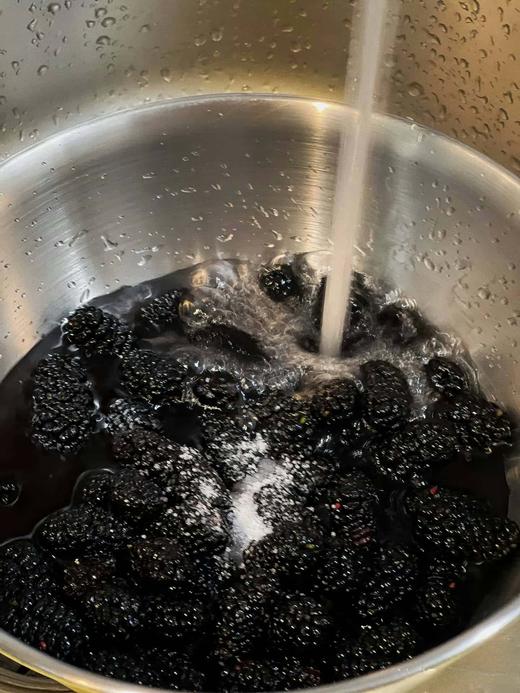 桑葚红莓 商品图5