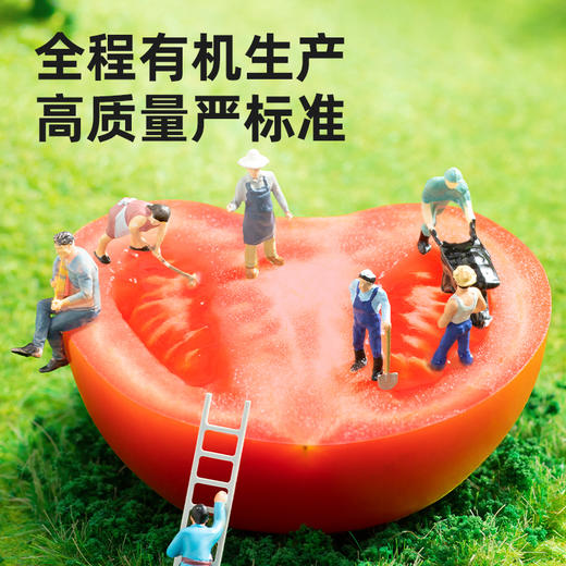 海天有机番茄沙司305g 零添加 全程有机 商品图3