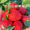 恋恋山谷草莓1.25kg/篮 商品缩略图2