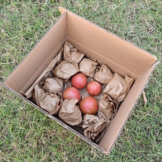 生态西红柿/番茄（沙瓤，丰收优惠满80-5元） | 绿家自产*Eco-tomato | In-House Production 商品图3