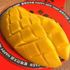 海南金煌芒-5斤家庭装/8斤礼盒装【香甜浓郁 新鲜现发】-包邮到家【水果】HRM 商品缩略图3
