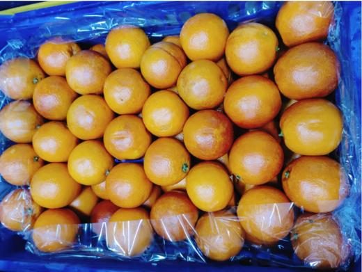 血橙3斤 商品图0