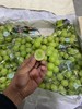 进口秋天脆青提 甜脆多汁 葡萄 商品缩略图5