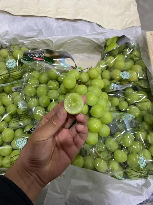 进口秋天脆青提 甜脆多汁 葡萄 商品图5