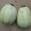 生态西葫芦 | 绿家自产* Eco-zucchini | Self-production 商品缩略图2