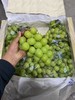 进口秋天脆青提 甜脆多汁 葡萄 商品缩略图7