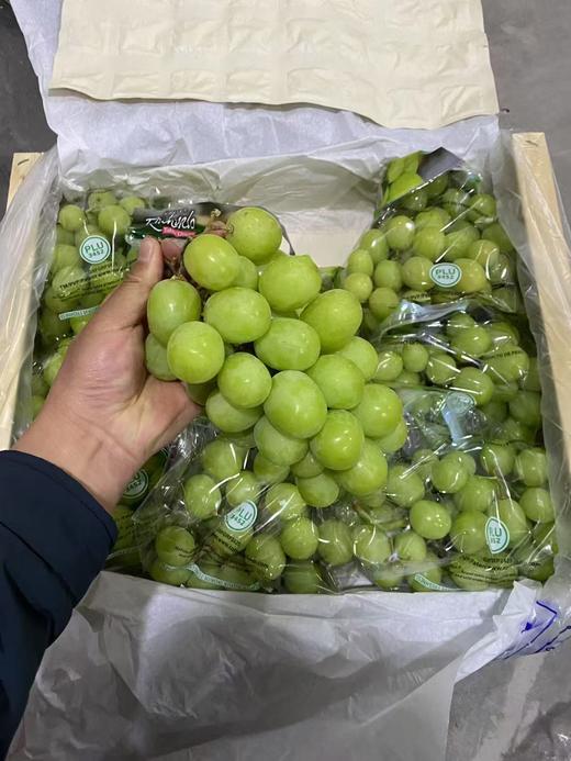 进口秋天脆青提 甜脆多汁 葡萄 商品图7