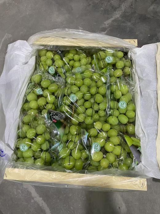 进口秋天脆青提 甜脆多汁 葡萄 商品图8