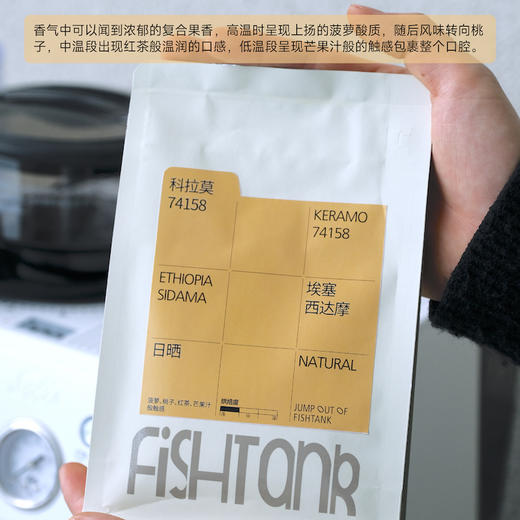 埃塞俄比亚 西达摩 科拉莫 商品图2