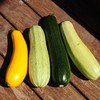 生态西葫芦 | 绿家自产* Eco-zucchini | Self-production 商品缩略图1