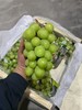 进口秋天脆青提 甜脆多汁 葡萄 商品缩略图6