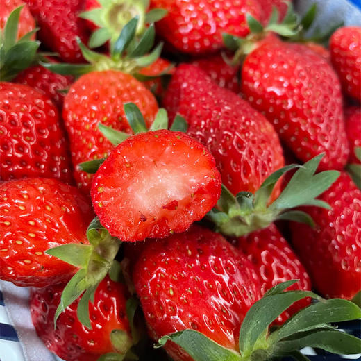 恋恋山谷草莓1.25kg/篮 商品图4