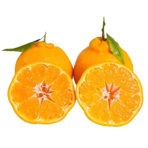 【自提】耙耙柑1kg 商品图0