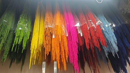 【干花】吊米  5枝/扎 多色可选 商品图0