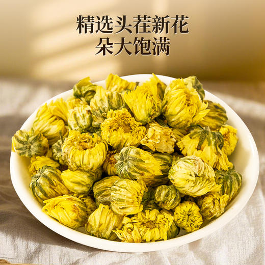 【桐乡胎菊花】50g/罐 色泽金黄 清香四溢 严选头茬桐乡胎菊 商品图0